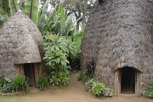 Casas elefante de los Dorze