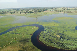 Delta del Okavango