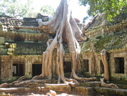 Ta Prohm