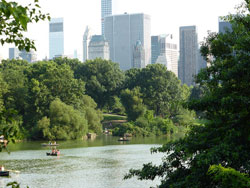 Central Park