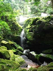 Catarata en el Parque Ivindo