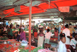 Albert Market