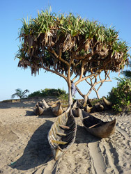 Playa en Madagascar