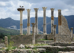 Volubilis