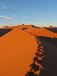 Duna 45, Desierto del Namib, Namibia