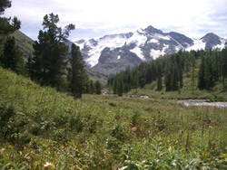 Montes Altai, Rusia