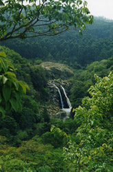 Cascadas Mantenga