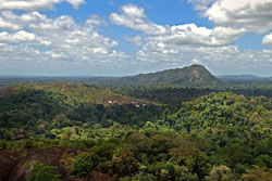 Reserva Natural de Surinam Central
